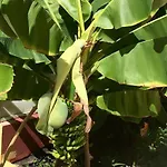 Villa Island Village Costa Adeje (Tenerife)