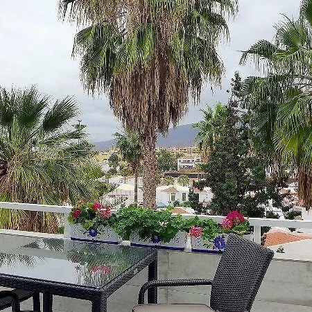 فيلة Island Village